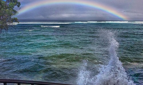 Napili-Honokowai 2020: Best of Napili-Honokowai, HI Tourism - Tripadvisor