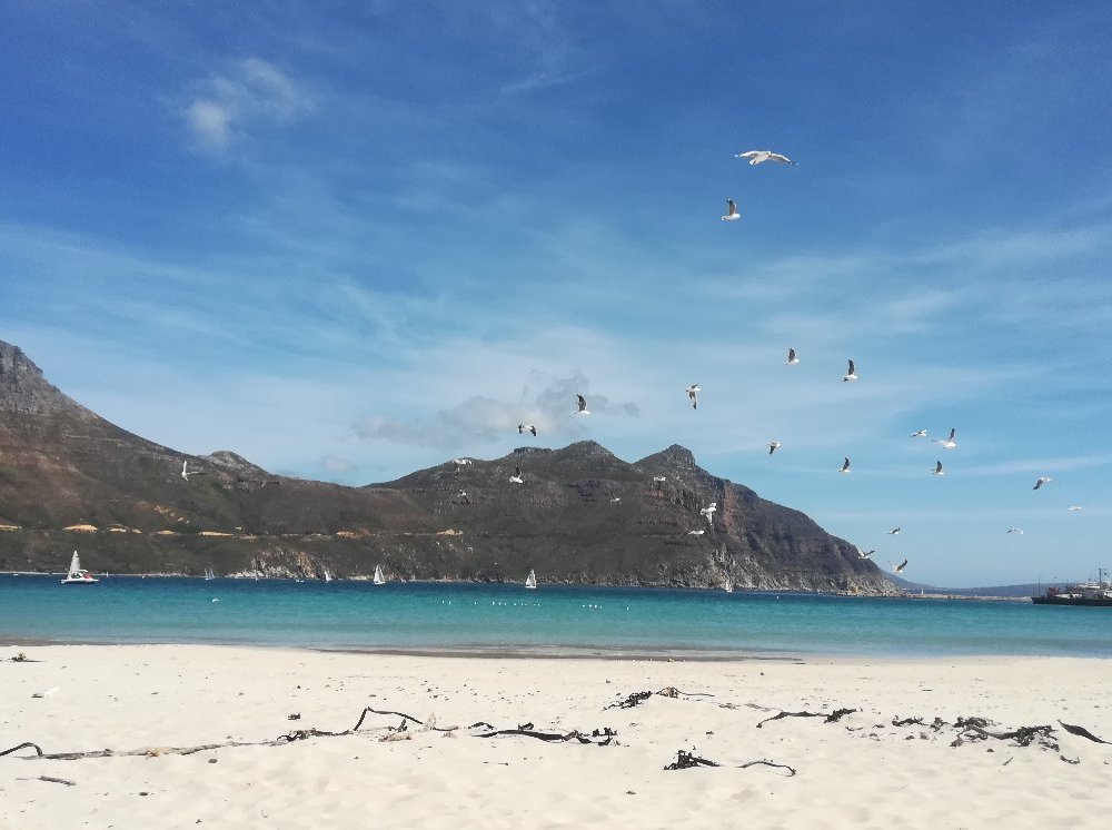 THE BEST Hout Bay Beaches (Updated 2024) - Tripadvisor