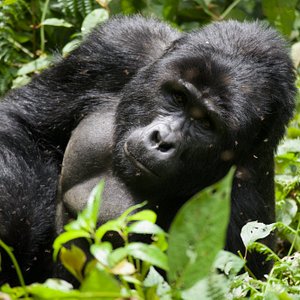 Katonga Wildlife Reserve Kampala 22 Lohnt Es Sich Mit Fotos