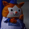 よねゆき