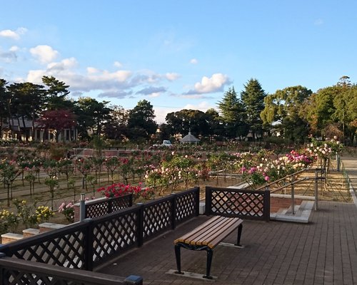 群馬県の公園 自然 ベスト10 トリップアドバイザー