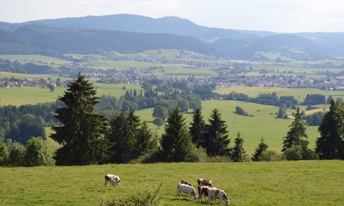 Paysages du Haut-Doubs près de Morteau