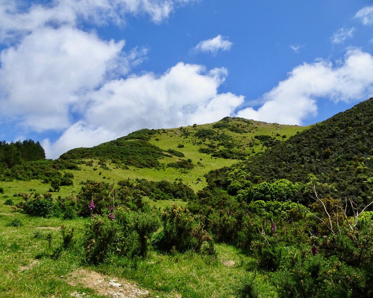 is spending a fortune on Lord of the Rings in New Zealand