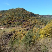 Vistas