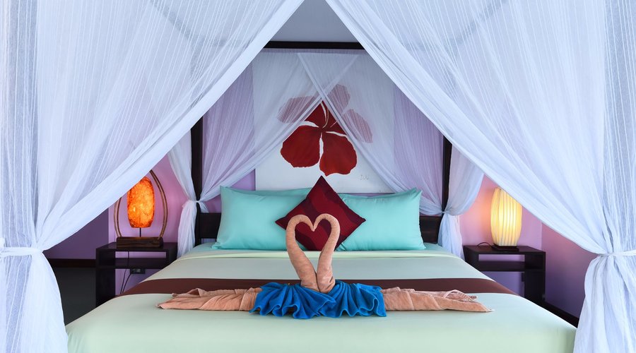 Suite Room