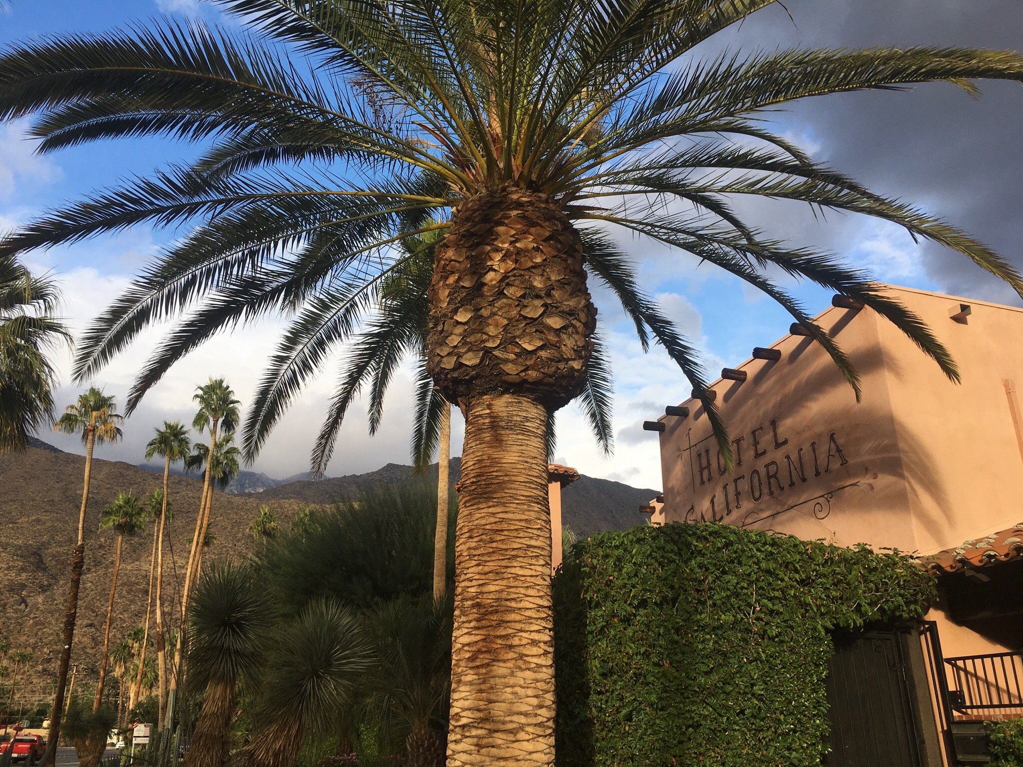 Hotel photo 72 of Hotel California.