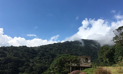 Este es el primer paisaje que se topa el visitante del Bosque Caricias.