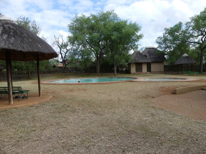 Satara Rest Camp Pool: Pictures & Reviews - Tripadvisor