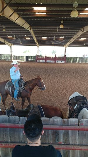 ranch #singledad #ranch #country #texascheck #hay #single40club #sing