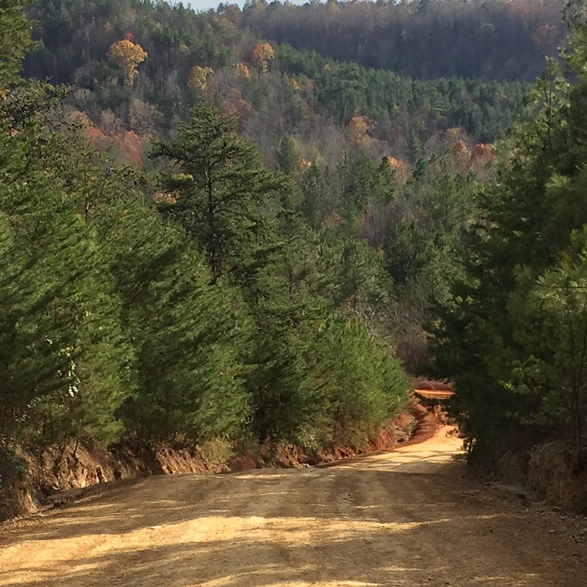Stony Lonesome OHV Park (Bremen) All You Need to Know