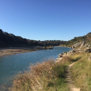 are dogs allowed hamilton pool preserve tripadvisor