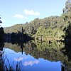Things To Do in West barwon reservoir, Restaurants in West barwon reservoir