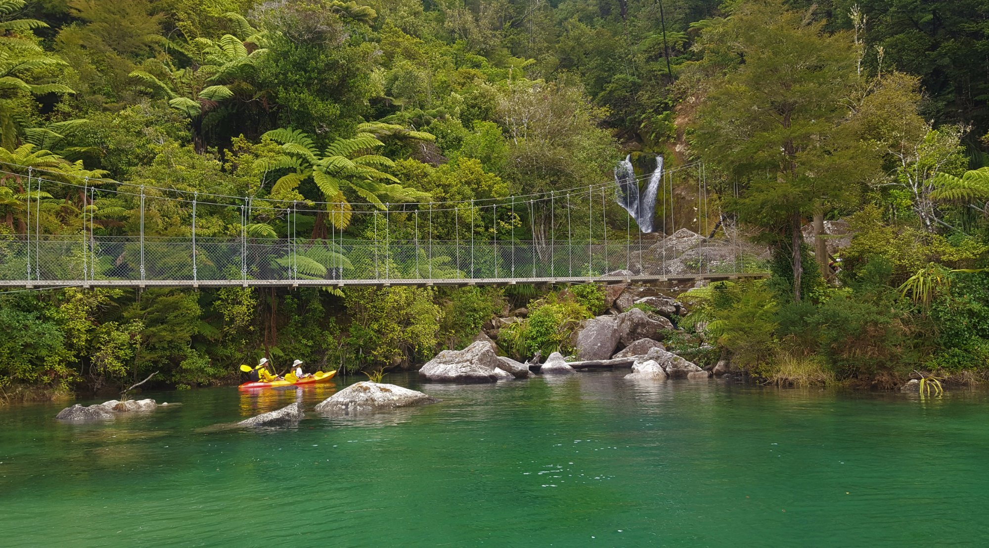 abel tasman charters day tours