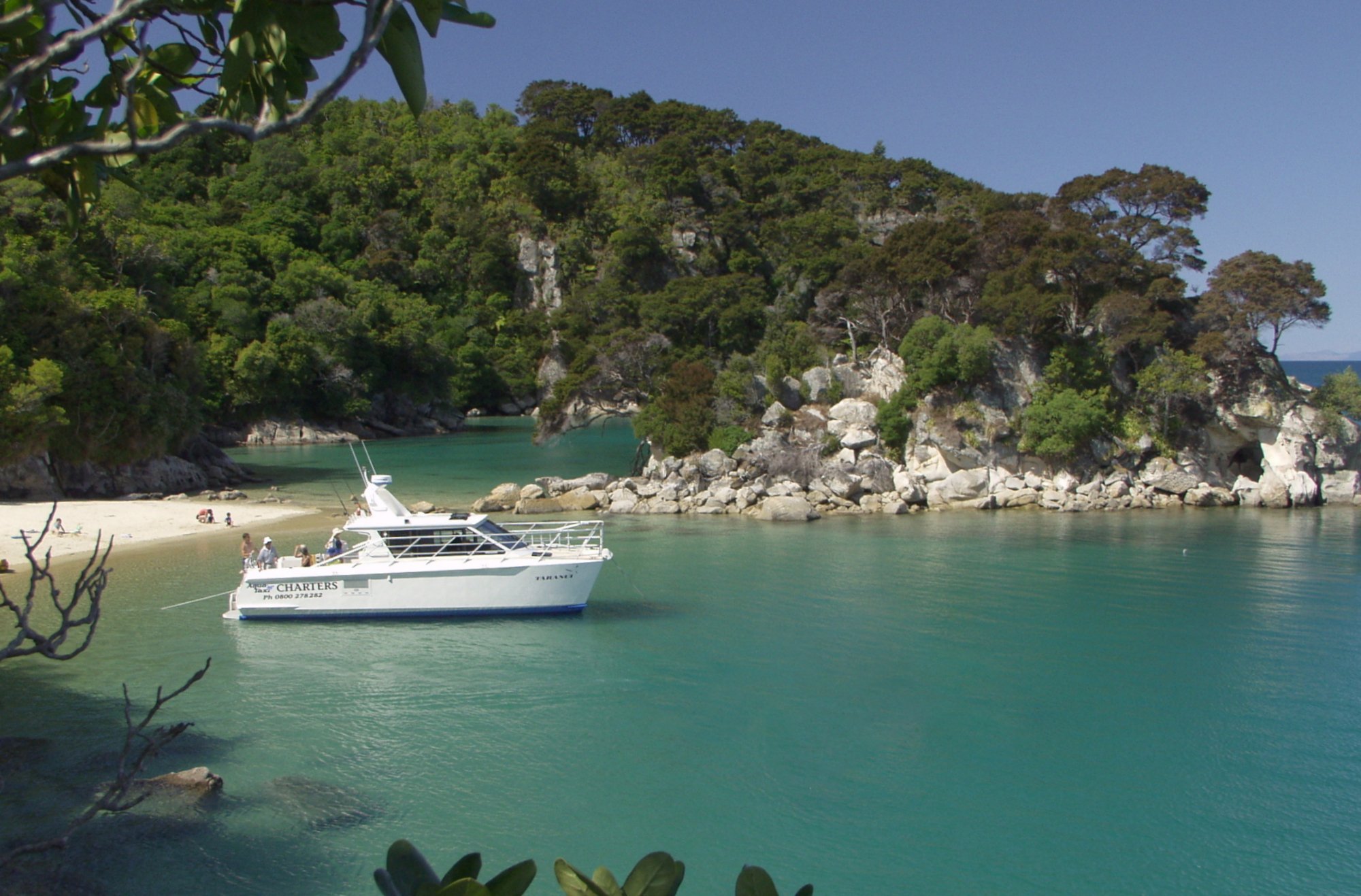 abel tasman charters day tours