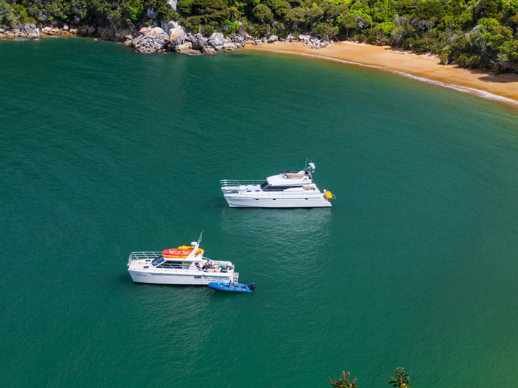 abel tasman charters day tours