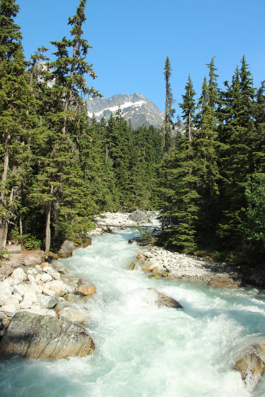 ILLECILLEWAET CAMPGROUND Reviews (Glacier National Park