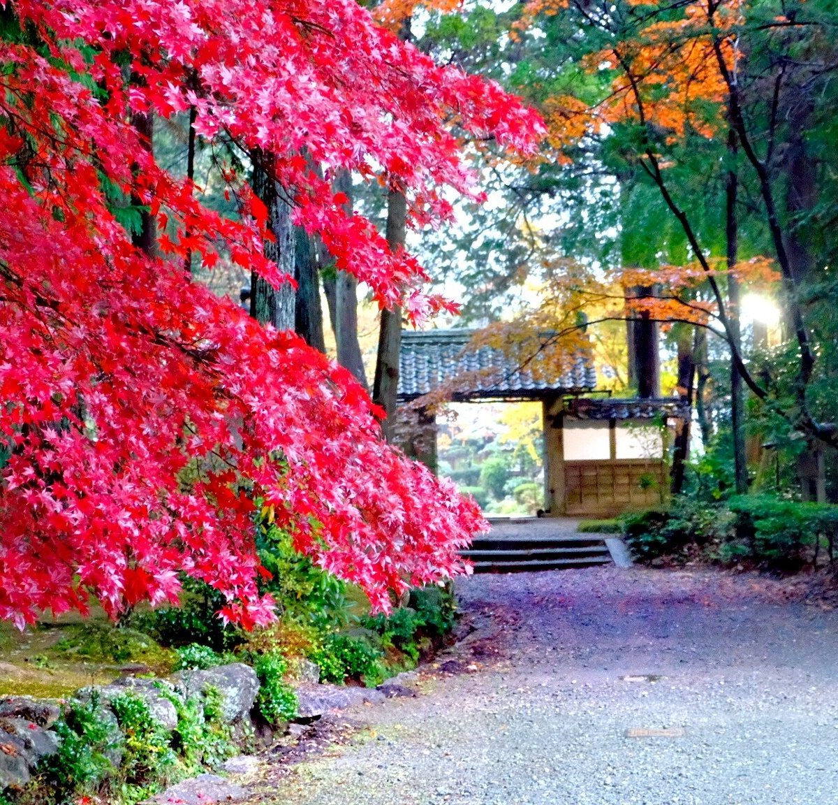 Ryotan-ji Temple (Kameoka, Japan): Address, Phone Number, Free ...