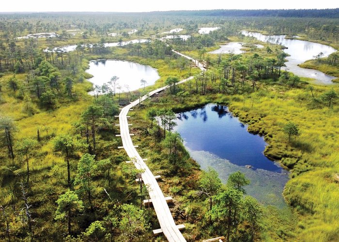 Great Ķemeri Bog Boardwalk