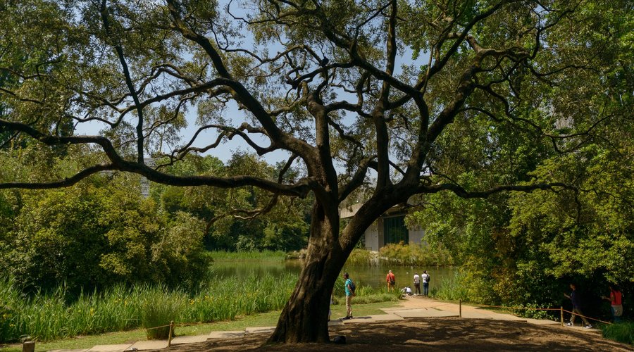 Jardim Gulbenkian - Lizbon - 2024 - Tripadvisor