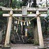 Things To Do in Kamochiji Shrine, Restaurants in Kamochiji Shrine