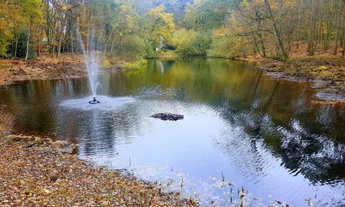 Genieten in de omgeving
