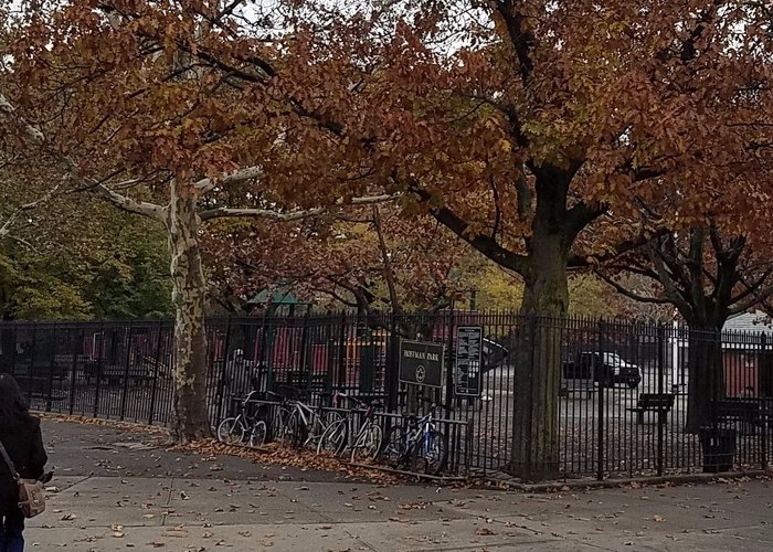 The park