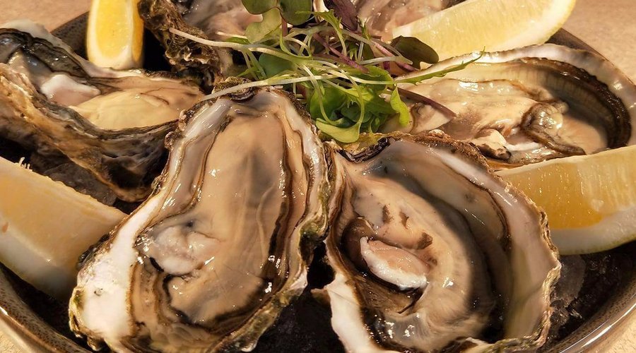 Fresh local oysters