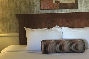 Room & Suite