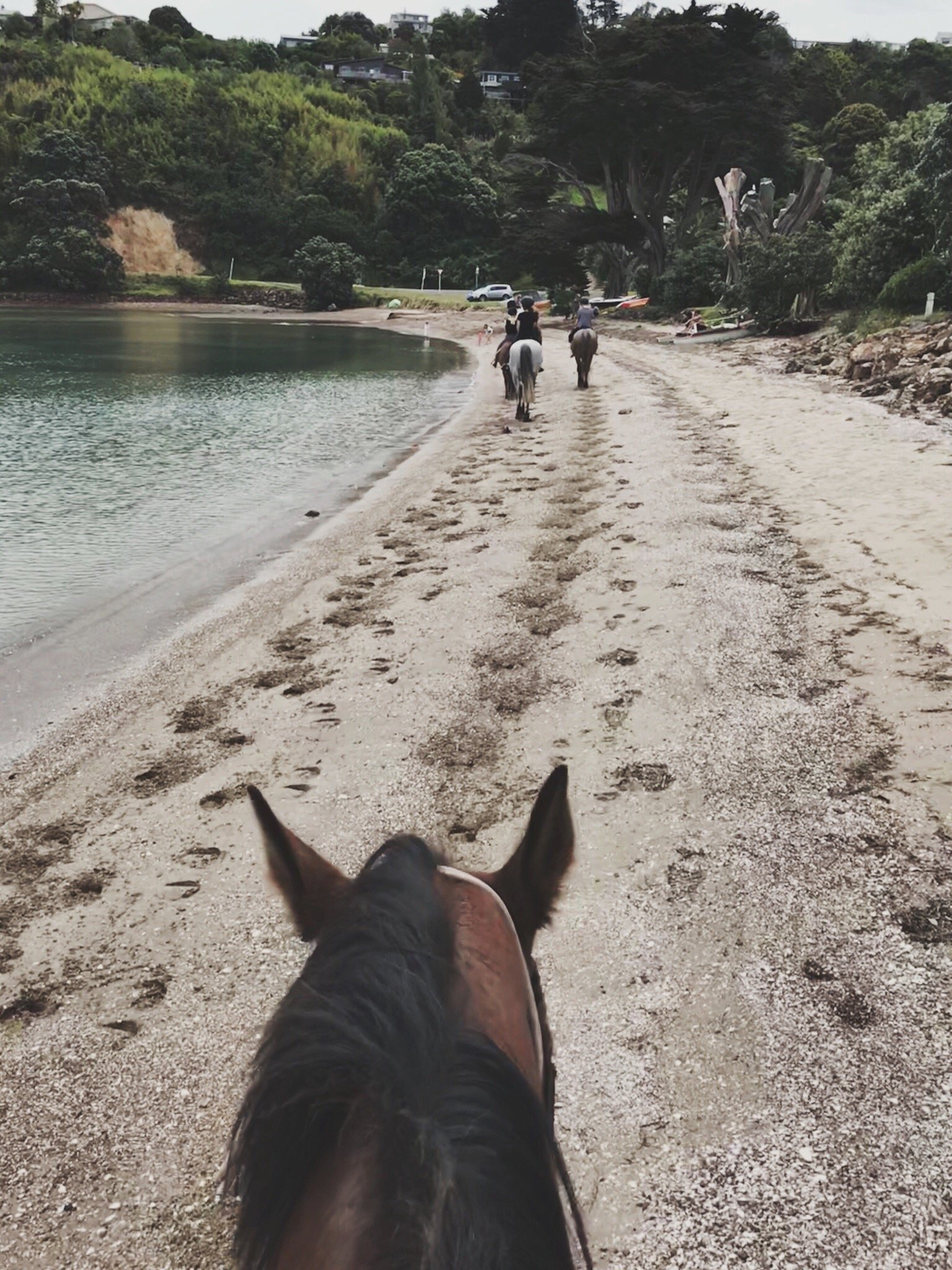 Waiheke Horseworx All You Need to Know BEFORE You Go with