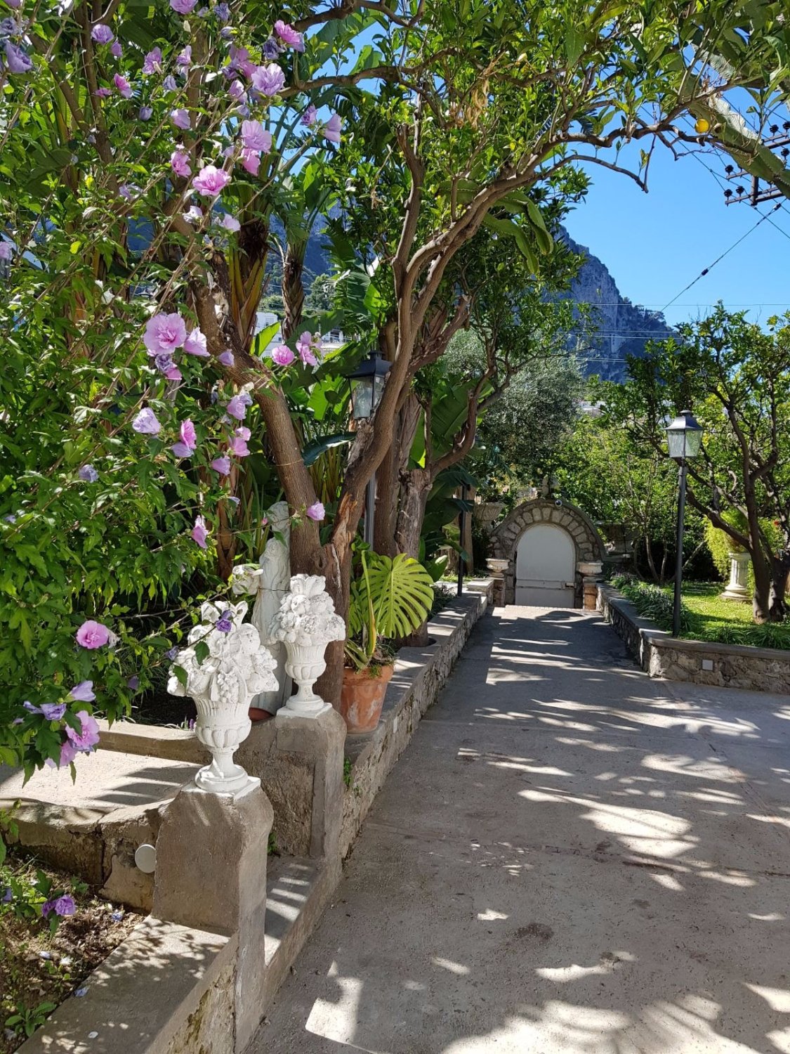 CASA GAIA Guesthouse Reviews Capri Italy Tripadvisor