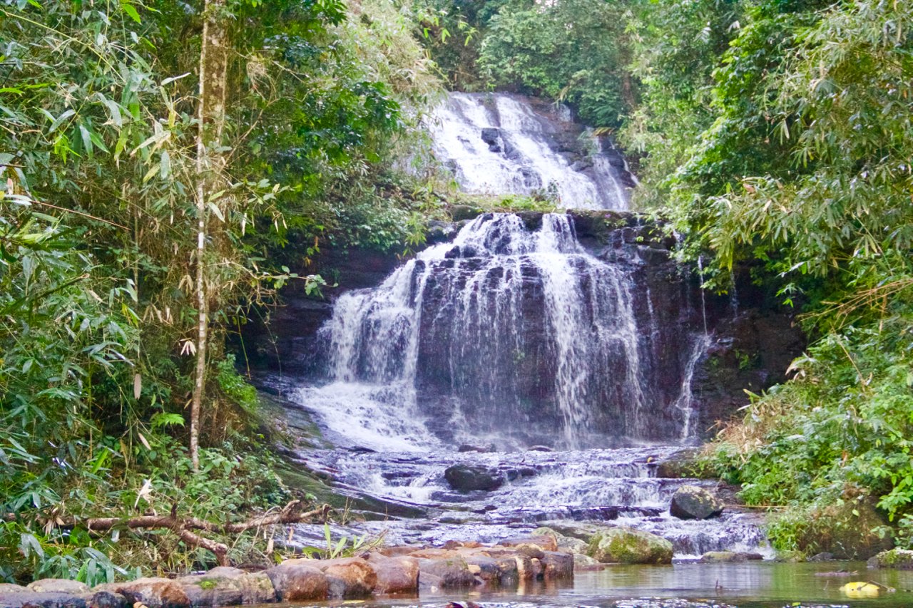 Gavi Forest (Thekkady) - All You Need to Know BEFORE You Go (with Photos) -  Tripadvisor