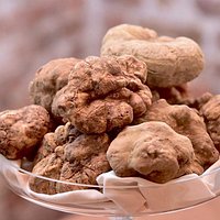 tartufo bianco