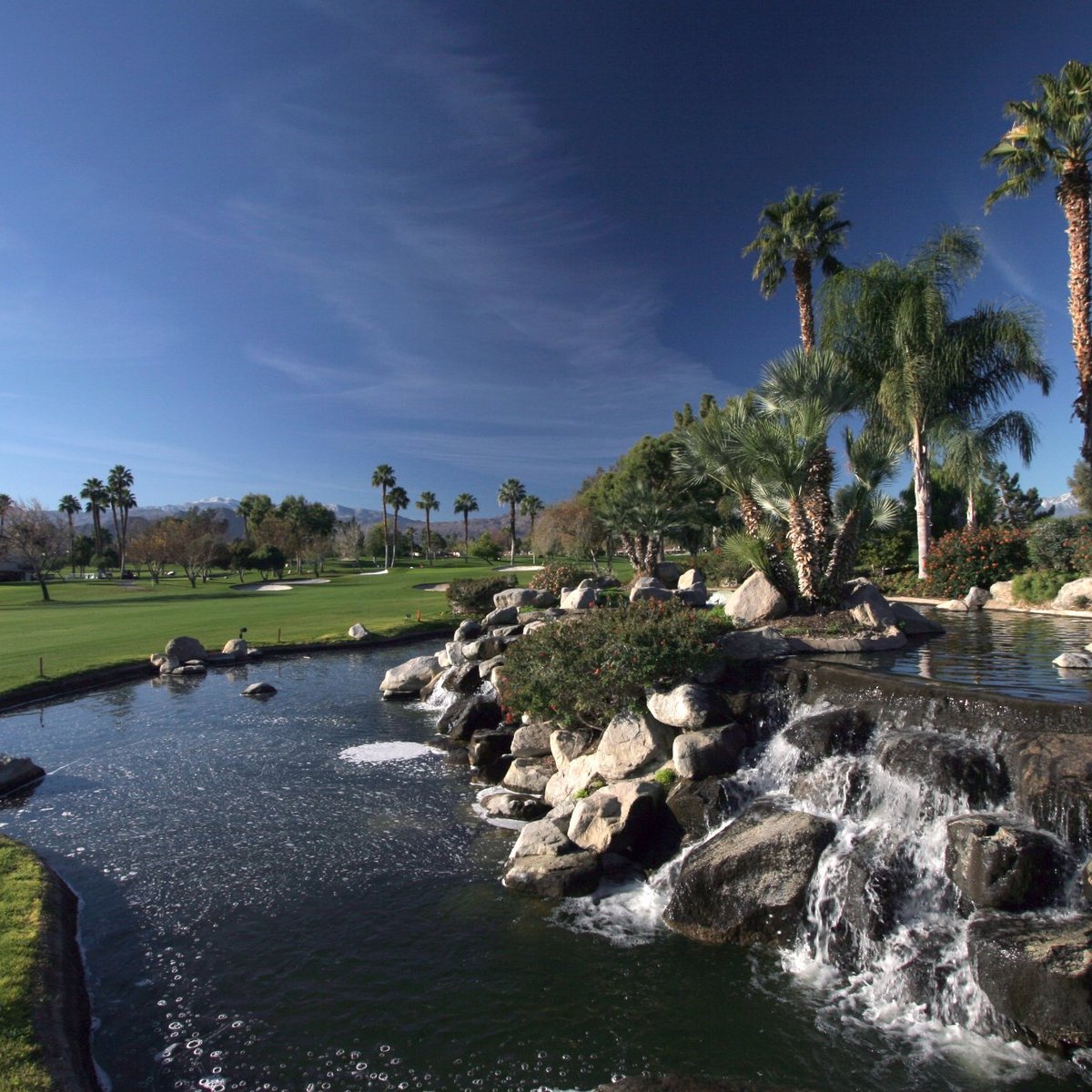 Palm desert steam фото 81