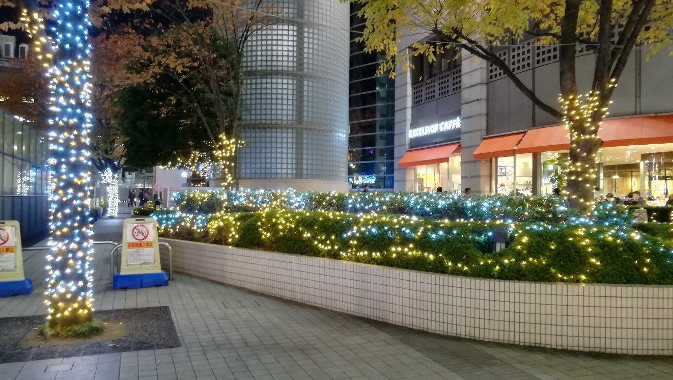 雲場池錦秋 錦秋