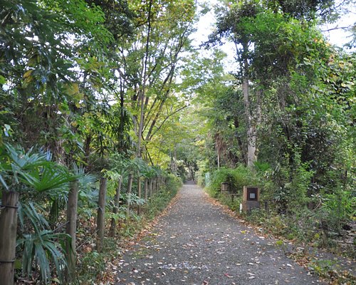 文京区10 大公园与自然景点 Tripadvisor
