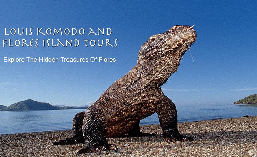Louis Komodo and Flores Islands Tour image