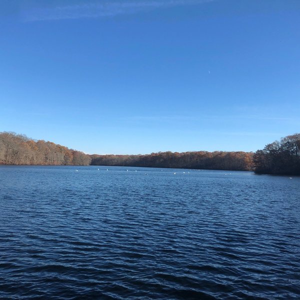 Caleb Smith State Park Preserve (Smithtown) - All You Need to Know ...