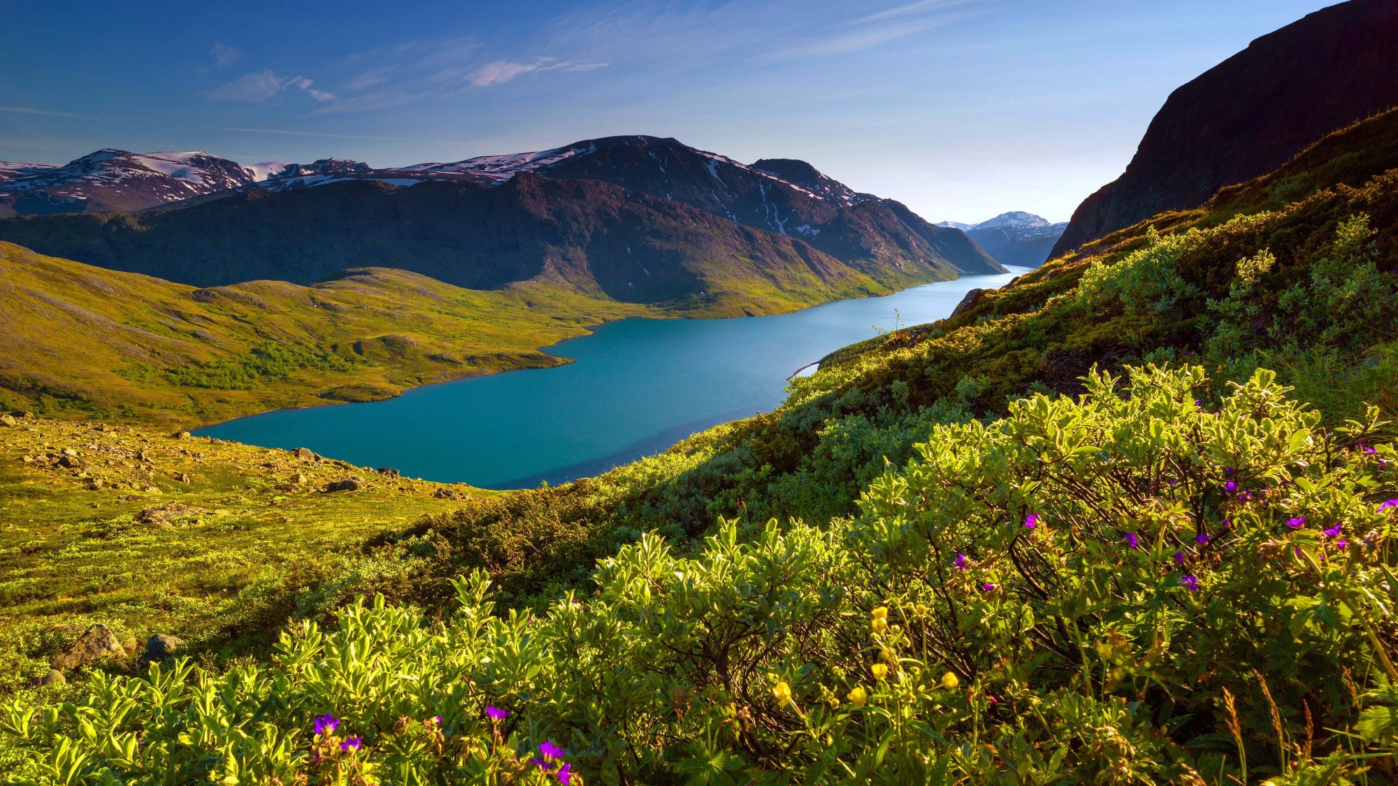 Jotunheimen National Park - All You Need To Know BEFORE You Go (2024)