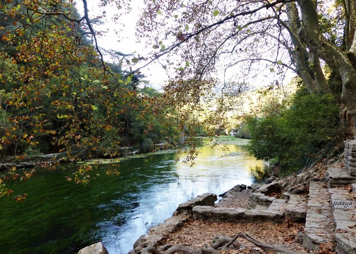 Source de la Sorgue.