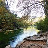 Things To Do in Private Provence Tour: Fontaine de Vaucluse and Isle sur Sorgue, Restaurants in Private Provence Tour: Fontaine de Vaucluse and Isle sur Sorgue