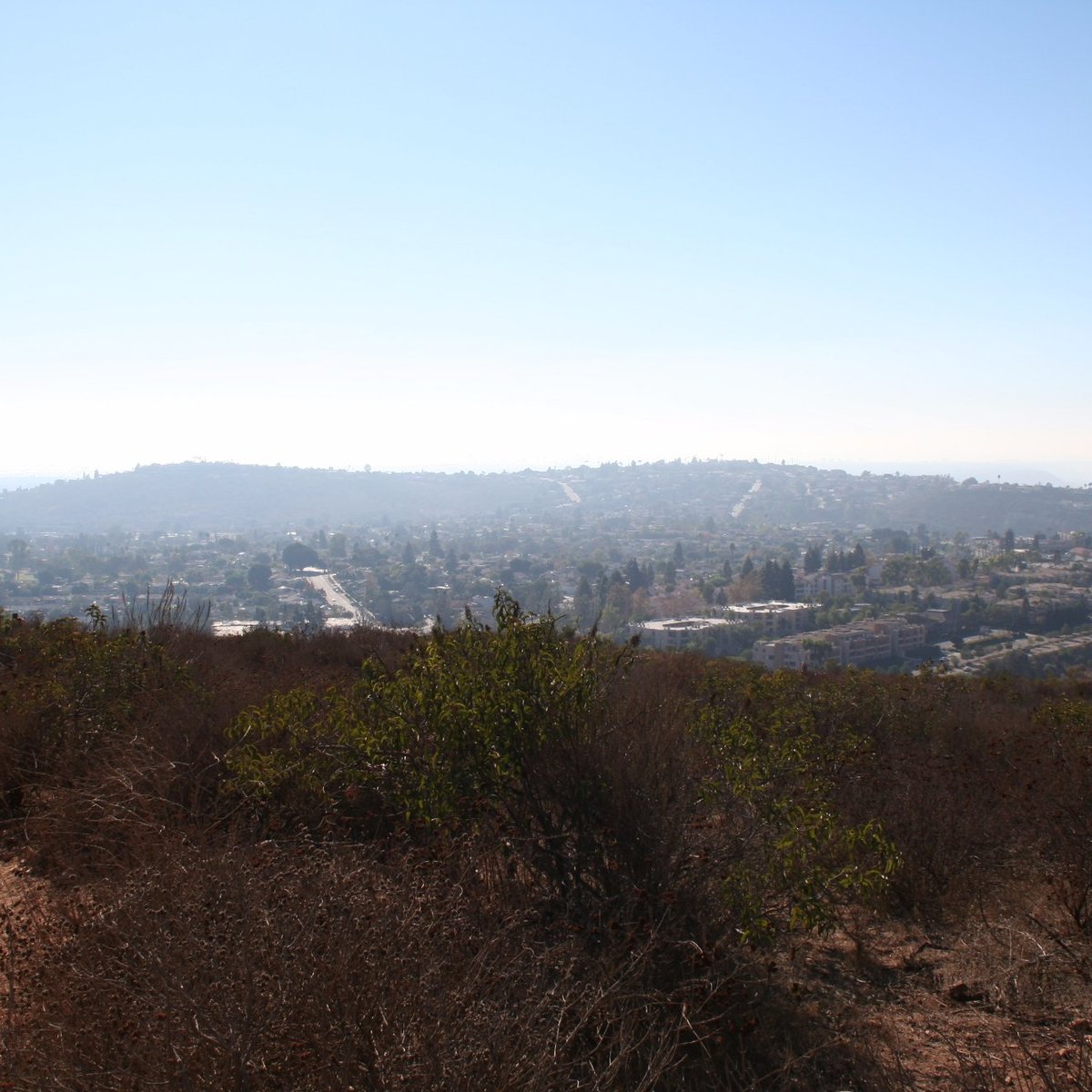 are dogs allowed at cowles mountain