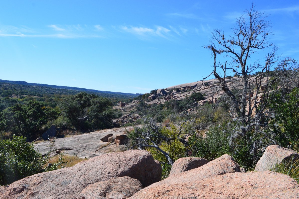 are dogs allowed at enchanted rock