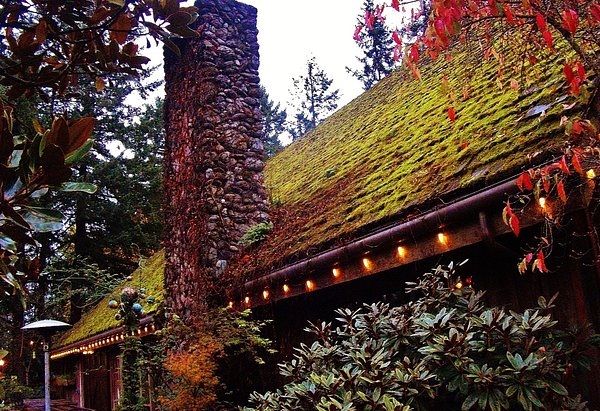 https://dynamic-media-cdn.tripadvisor.com/media/photo-o/11/60/5a/1b/chimney-and-moss-covered.jpg?w=600&h=-1&s=1