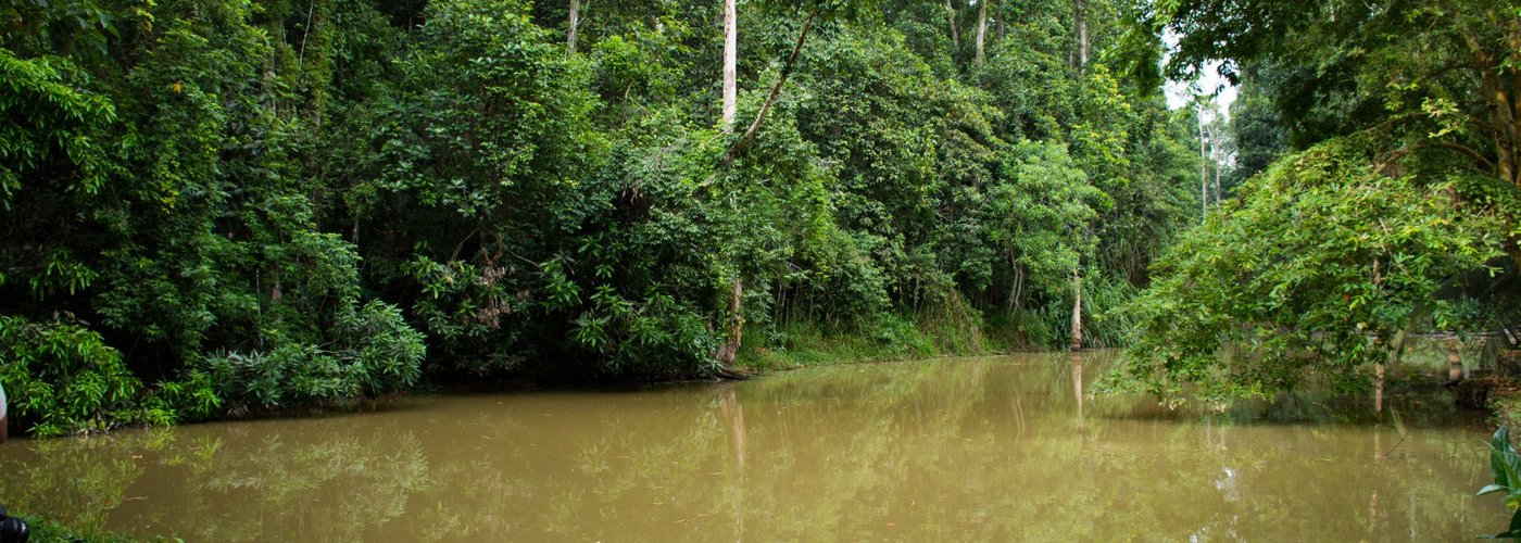 Horagolla National Park
