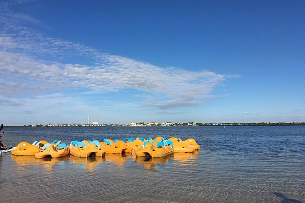 Spring Training - Gulfshore Life