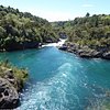 Things To Do in Auckland to Waitomo, Taupo & Bay of Plenty 5-Day Private Tour, Restaurants in Auckland to Waitomo, Taupo & Bay of Plenty 5-Day Private Tour