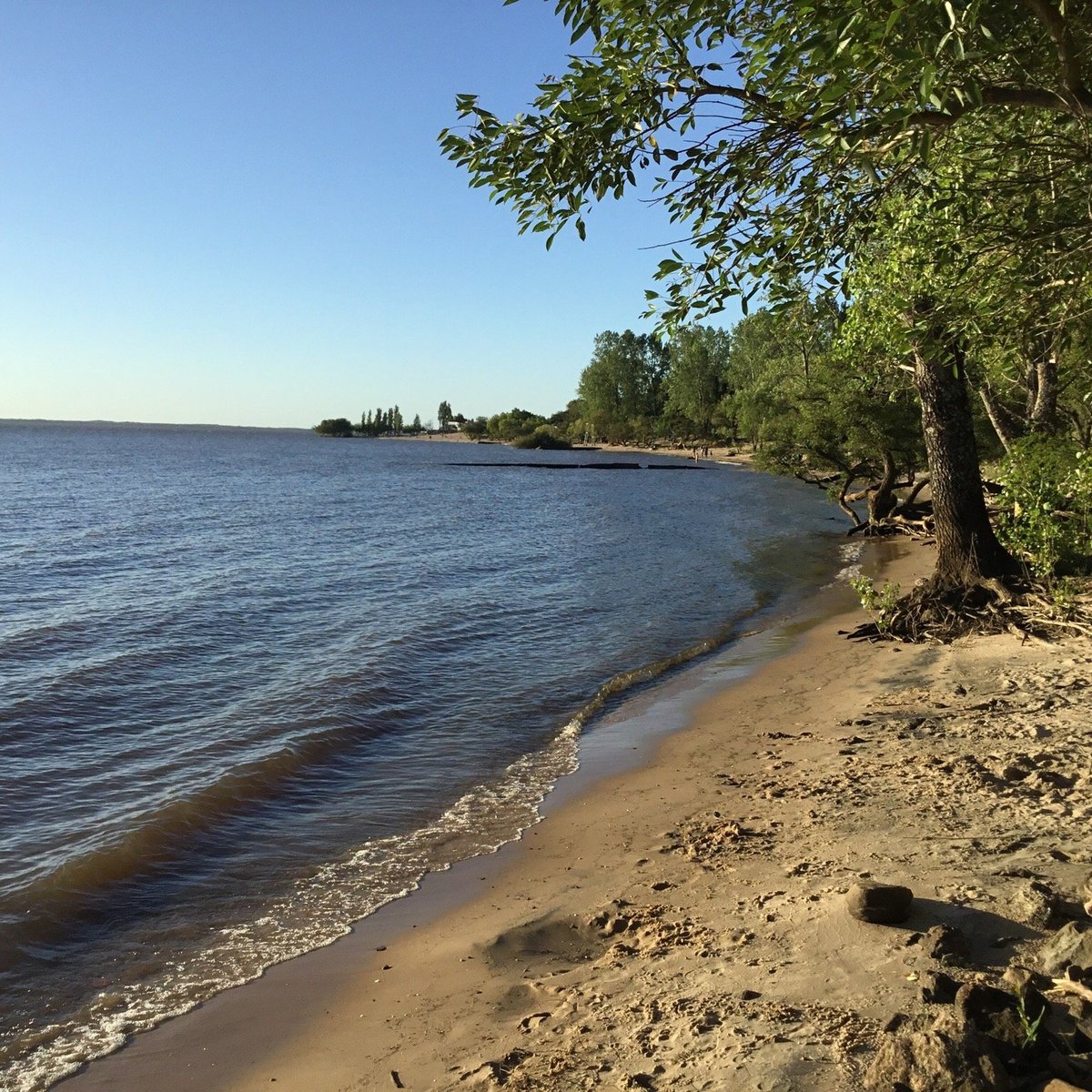 LAS CAÑAS RIO NEGRO URUGUAY