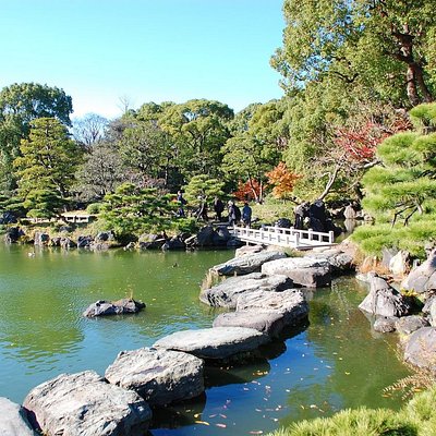 江東区の公園 自然 ベスト10 トリップアドバイザー