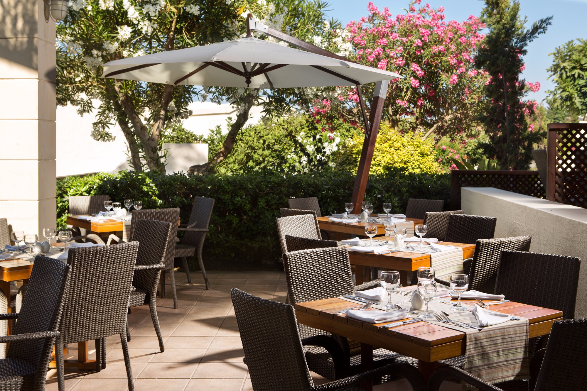 Hotel photo 43 of Agapi Beach Resort.
