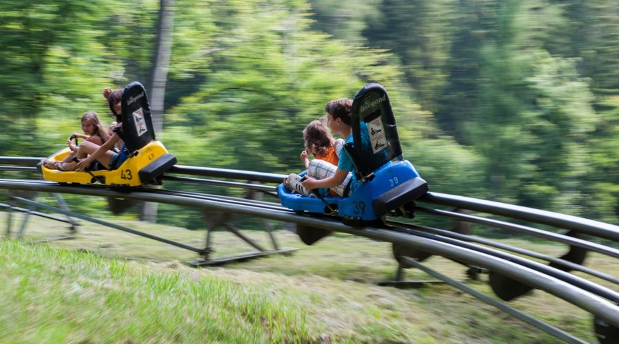 Unsere Rodelbahn "Harzbob" lässt Sie nicht nur im Winter mit bis zu 40 km/h talwärts sausen. 